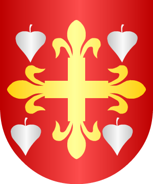 ESCUDO SIGUIENTE